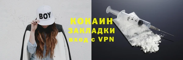 крисы Арсеньев