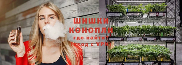 крисы Арсеньев