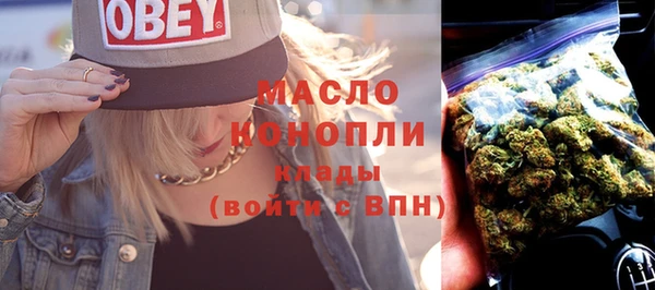 индика Армянск