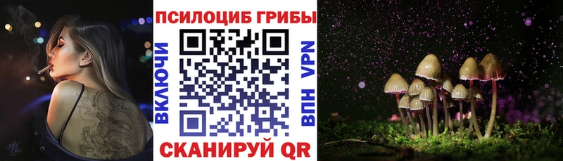 Псилоцибиновые грибы Cubensis  Нижний Ломов 